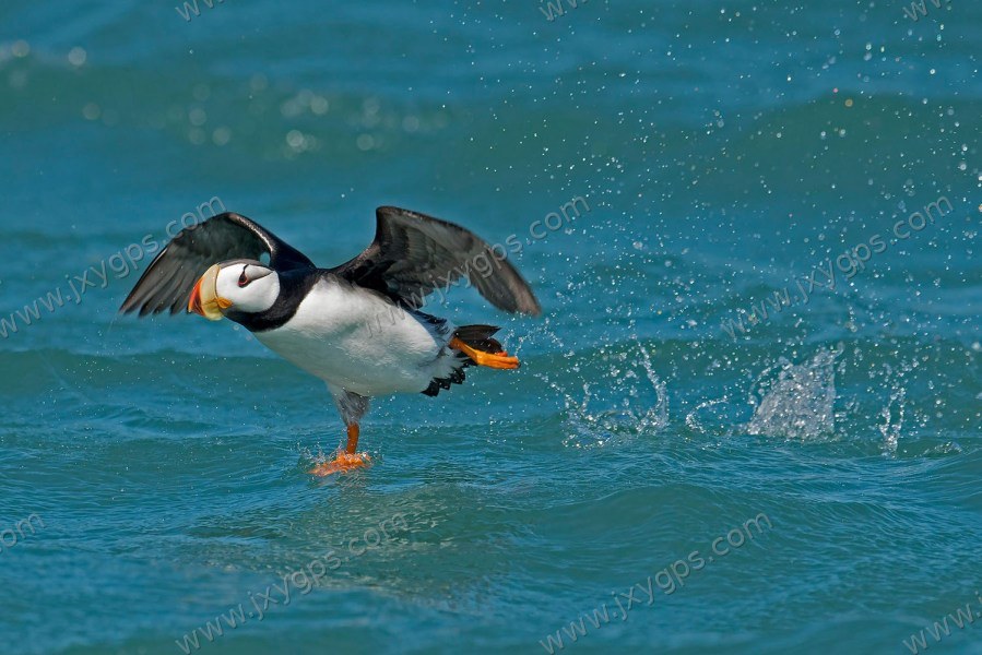 少女与光